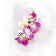 WLC40 Deep Purple Orchid Corsage