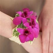 WLC14 Rich Purple Dendrobium Orchid Wrist Corsage