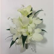 WLC01 Ladies Dendrobium Corsage with Crystals