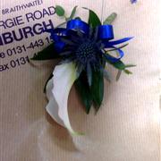 WG09 Gents Calla and Thistle buttonhole