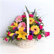 Brights Arcadia Basket (Lily)