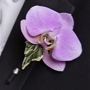 WG01 Gents Buttonhole - Phaleanopsis