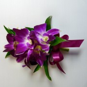 WLC07 Ladies Dendrobium Corsage